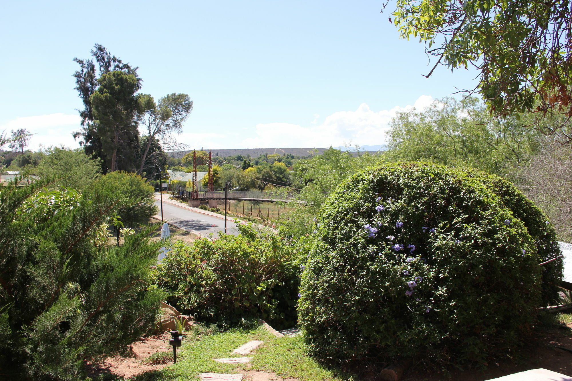 Gumtree Guest House Oudtshoorn Buitenkant foto