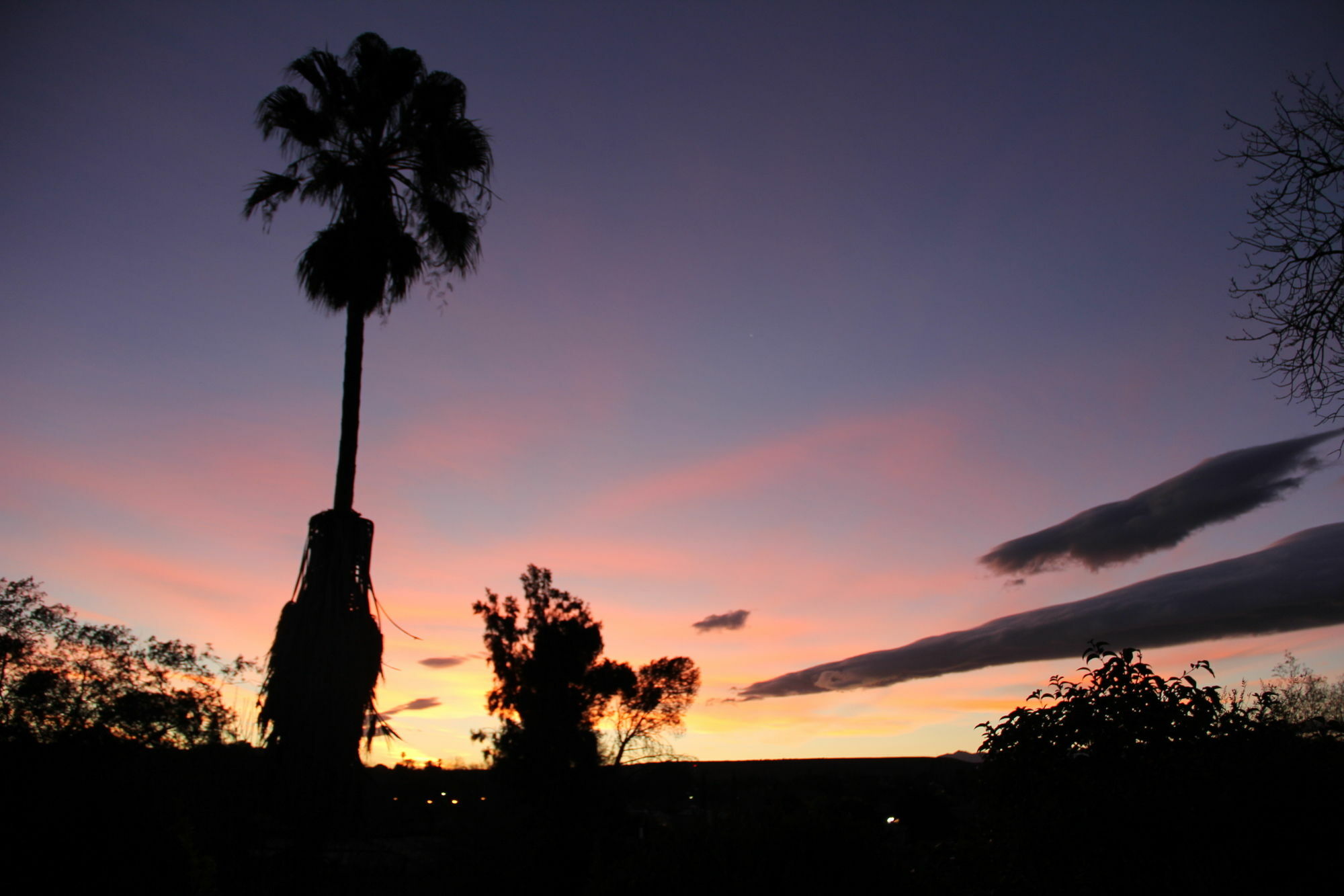 Gumtree Guest House Oudtshoorn Buitenkant foto